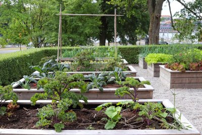 Een moestuin past ook in een piepklein tuintje